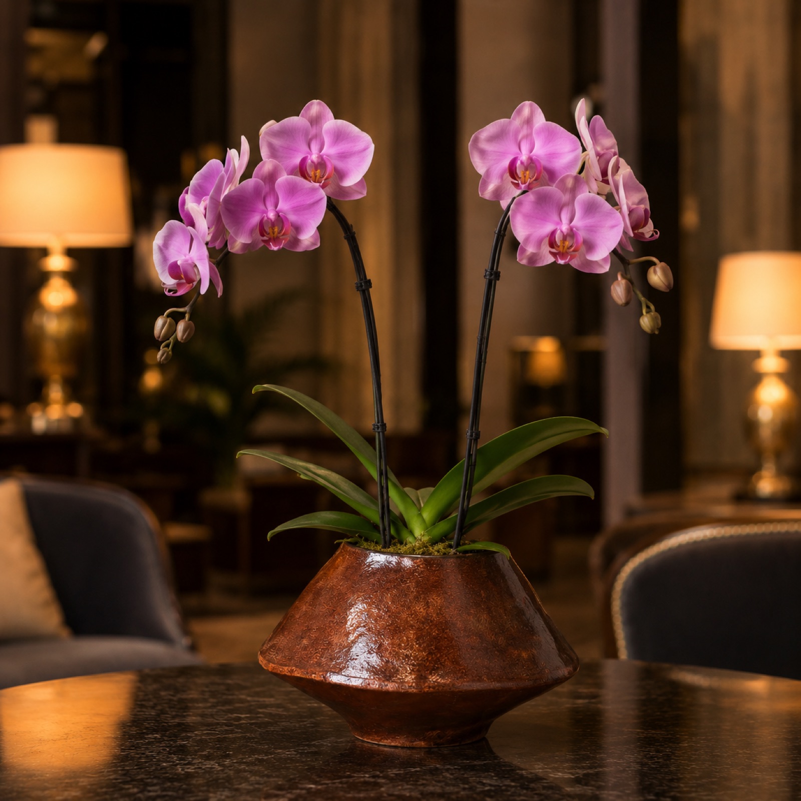 Single magenta-purple Phalaenopsis orchid with two flower spikes in a copper trumpet ceramic pot