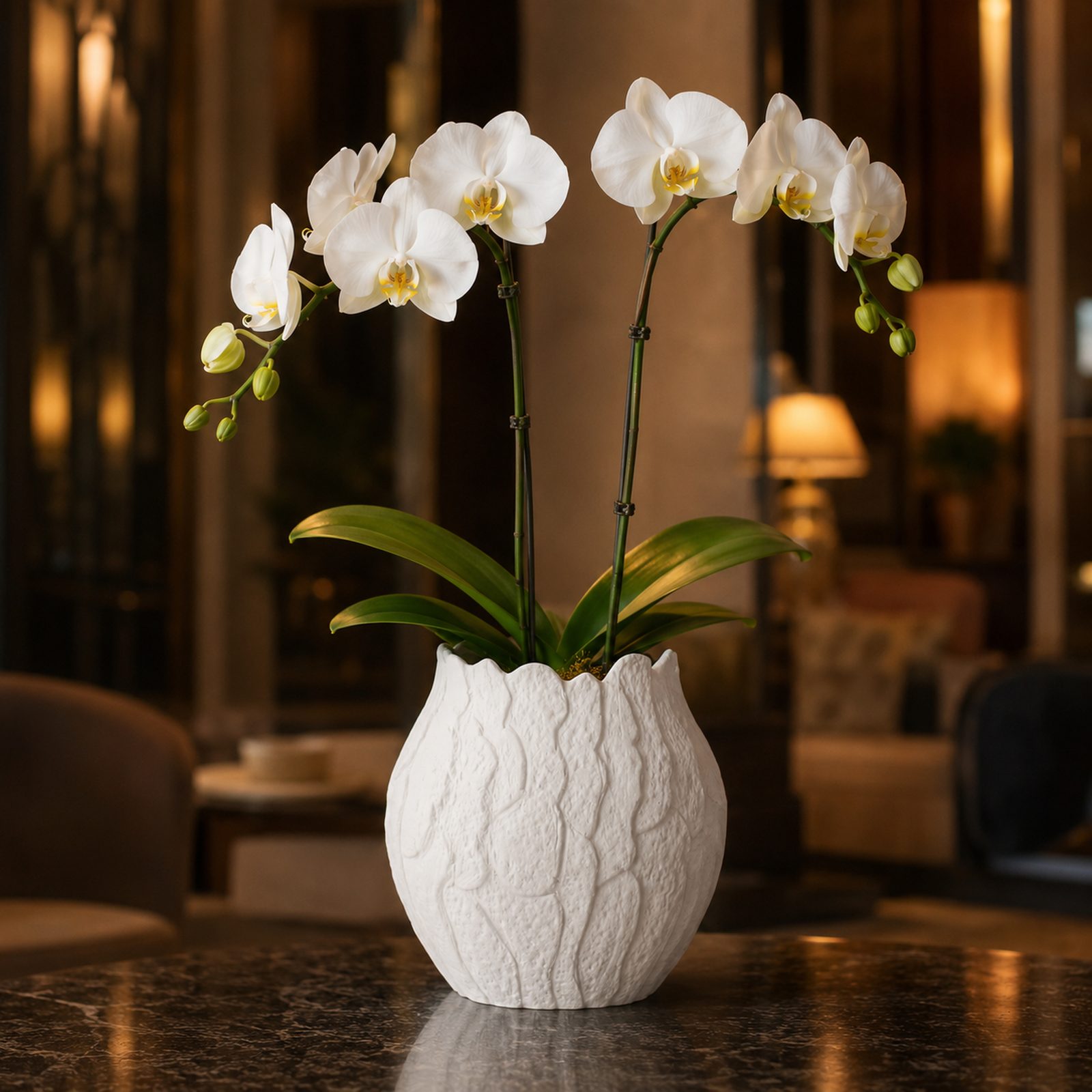 Single white Phalaenopsis orchid in a textured white organic-shaped ceramic pot